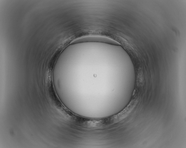 X0000110950172200907101314