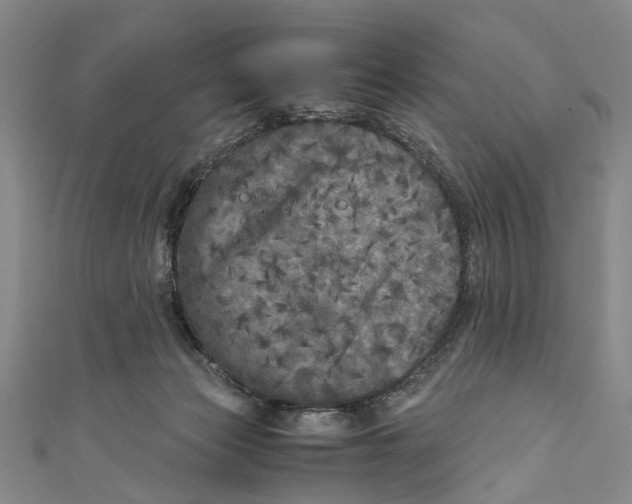 X0000110950173200907101314