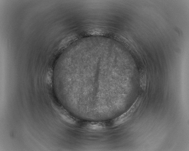 X0000110950175200907101314