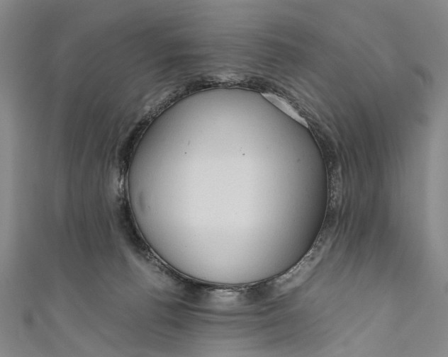 X0000110950176200907101314