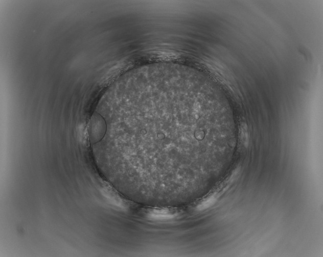 X0000110950177200907101314