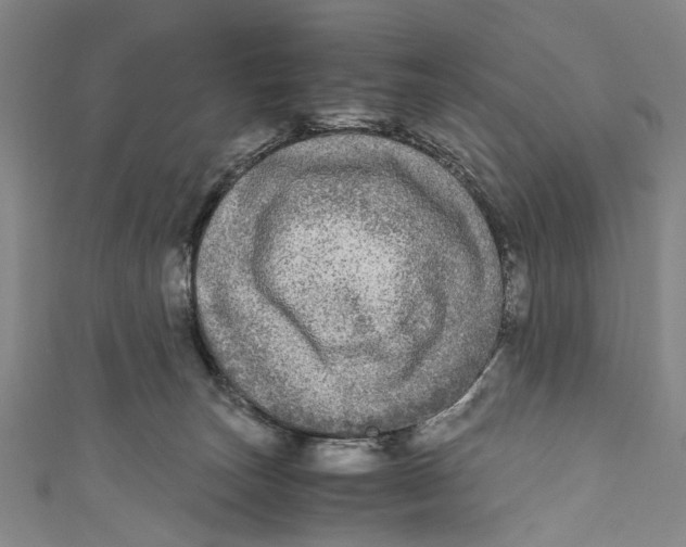 X0000110950179200907101314