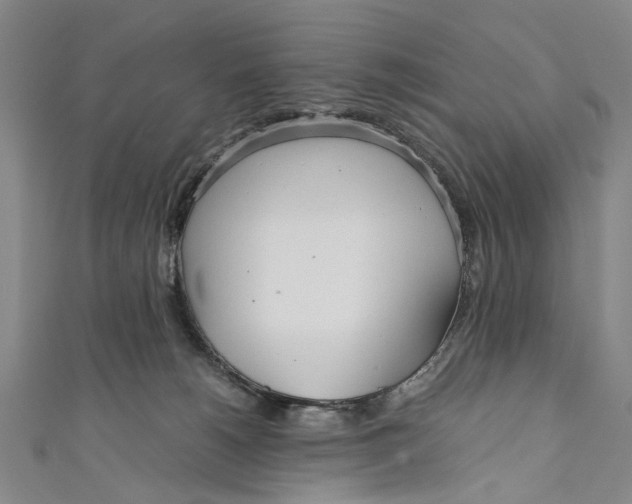 X0000110950180200907101314