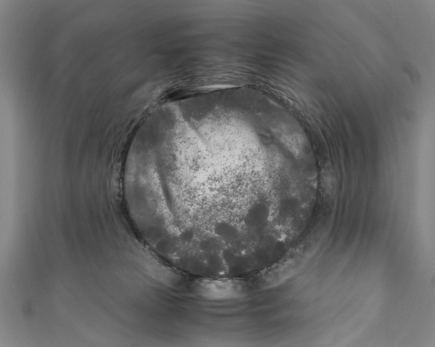 X0000110950181200907101314