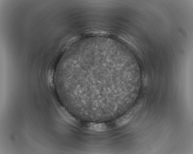 X0000110950185200907101314