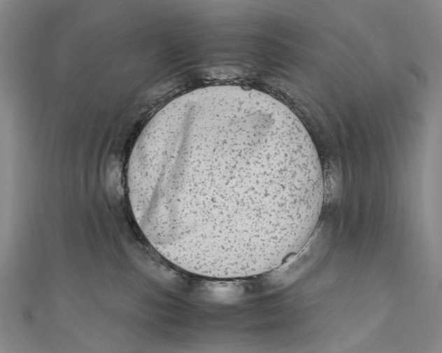 X0000110950187200907101315