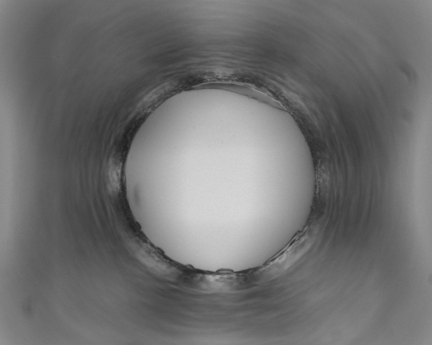 X0000110950188200907101315