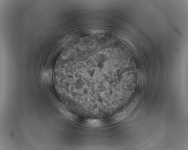 X0000110950189200907101315