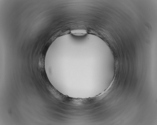 X0000110950190200907101315