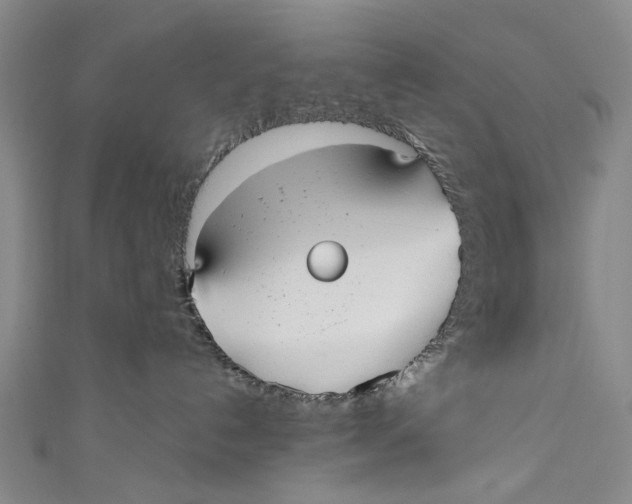 X0000110950192200907101315