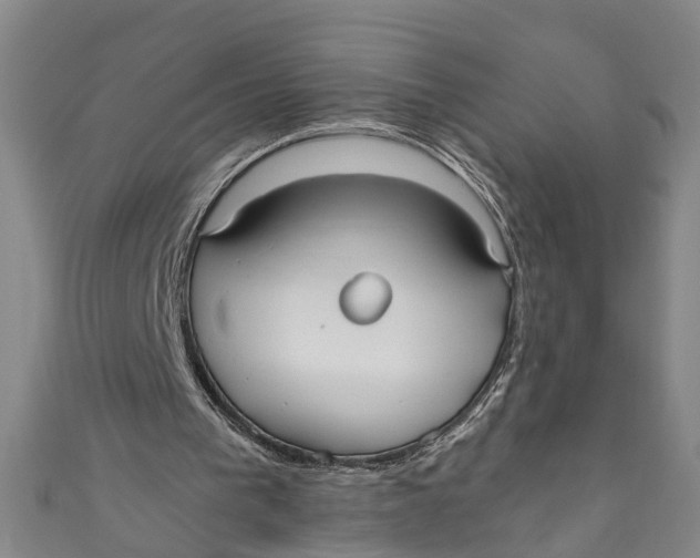 X0000110950193200907101314