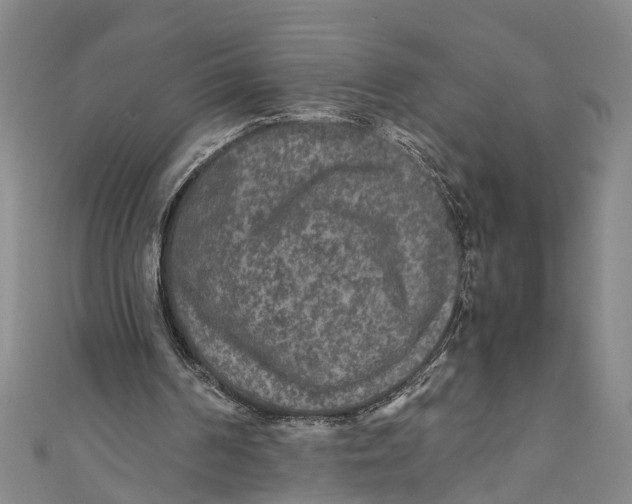 X0000110950194200907101314