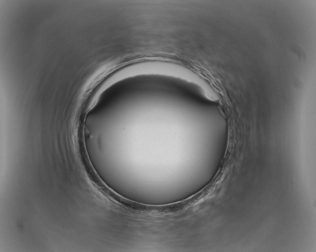 X0000110950197200907101314