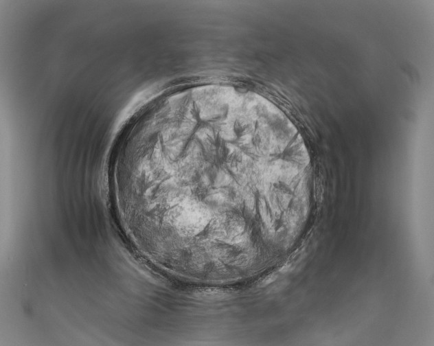 X0000110950198200907101314