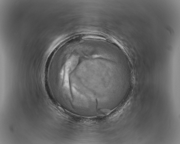 X0000110950199200907101314