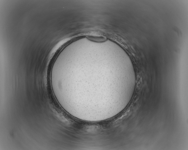 X0000110950200200907101314