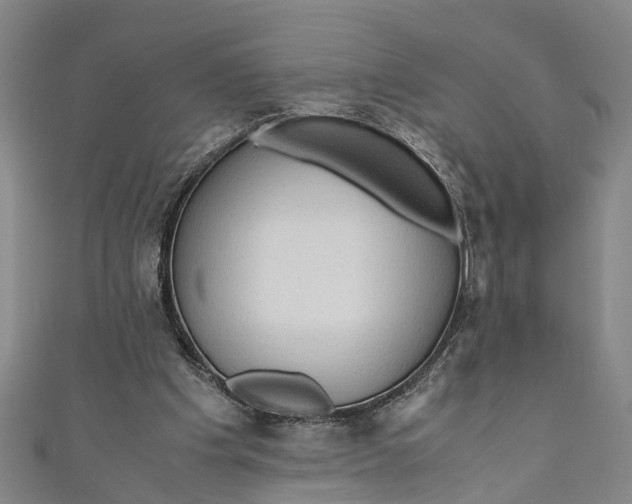 X0000110950201200907101314