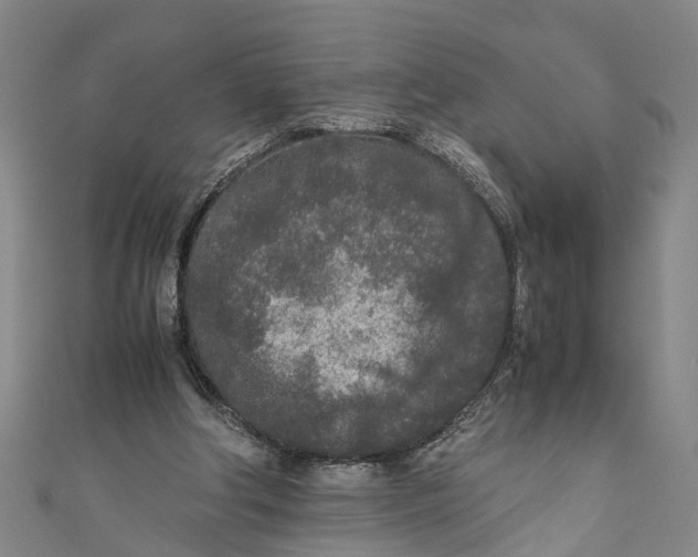 X0000110950202200907101314