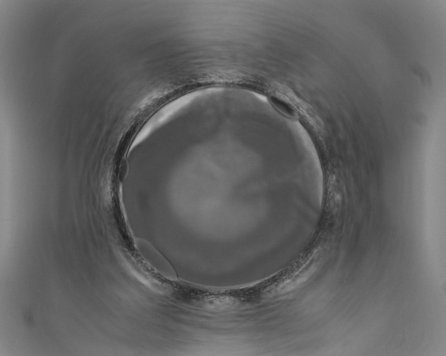 X0000110950203200907101314