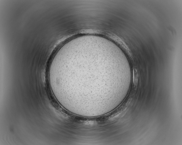 X0000110950204200907101314