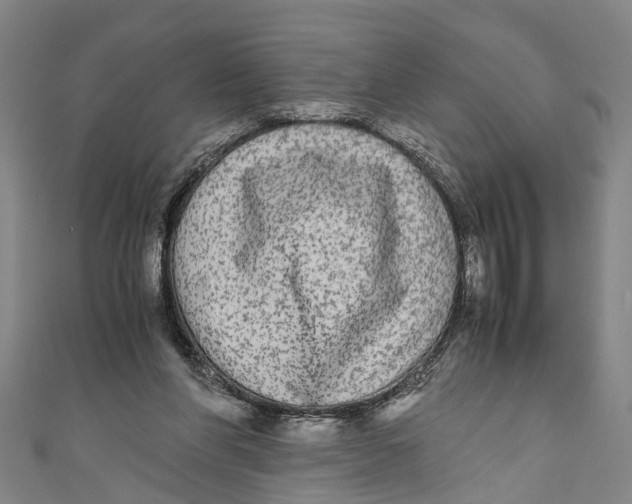 X0000110950206200907101314