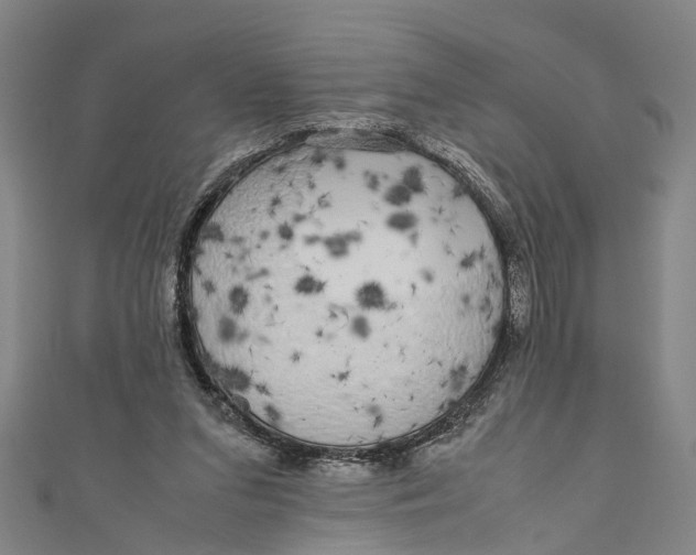 X0000110950207200907101314