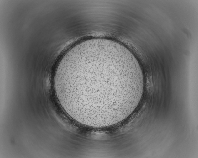 X0000110950208200907101314