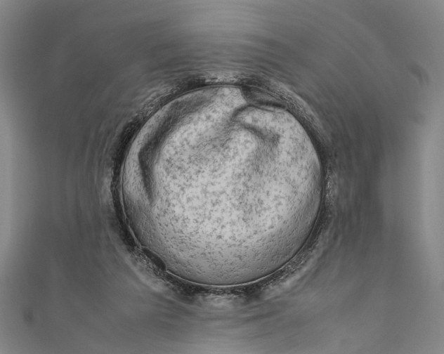 X0000110950209200907101314