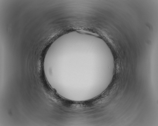 X0000110950211200907101314