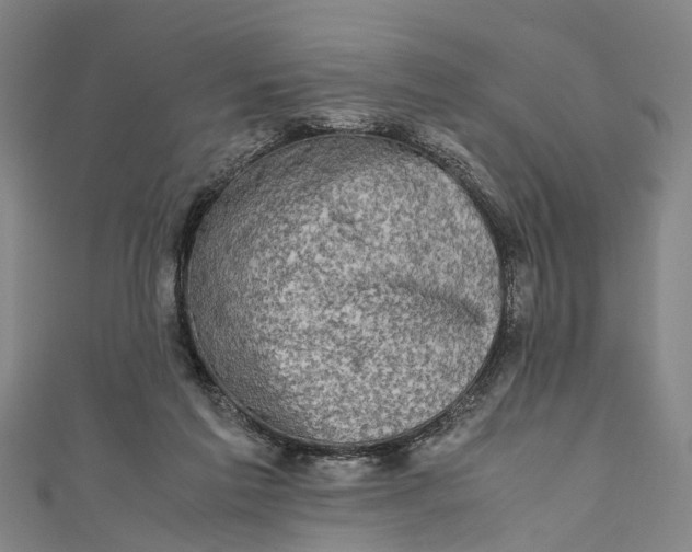 X0000110950213200907101314