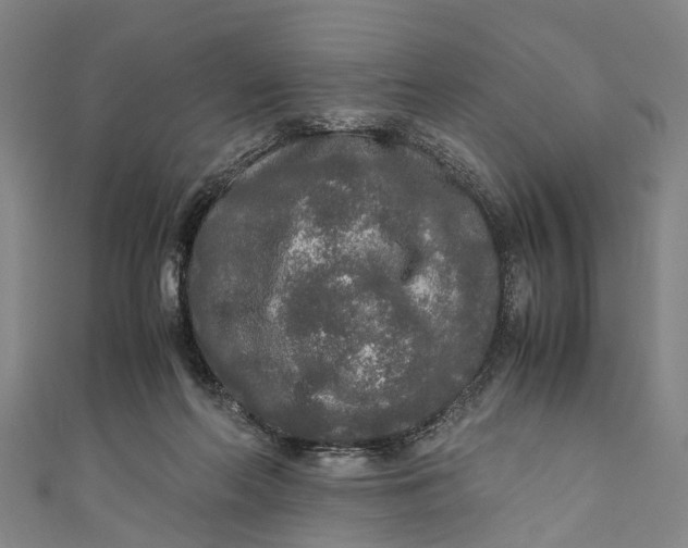 X0000110950214200907101314