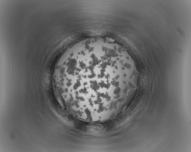 X0000110950215200907101314