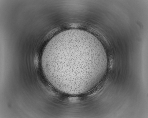 X0000110950216200907101314