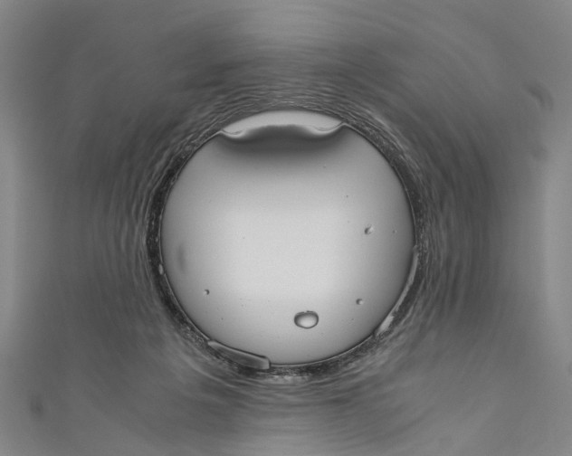 X0000110950217200907101314