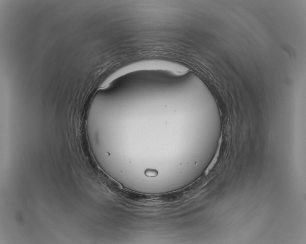 X0000110950219200907101314