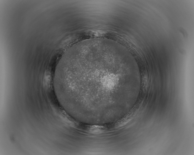 X0000110950222200907101314