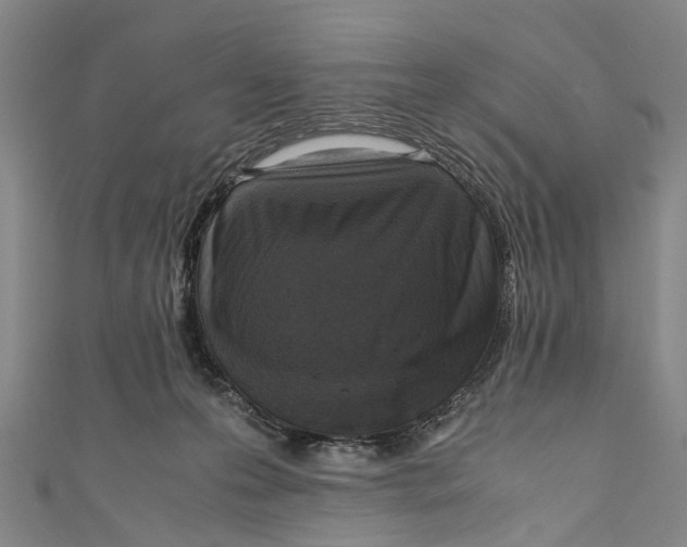 X0000110950223200907101314