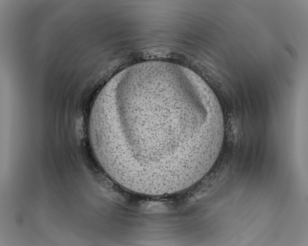 X0000110950224200907101314