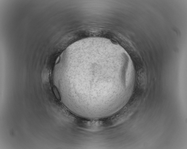 X0000110950225200907101314