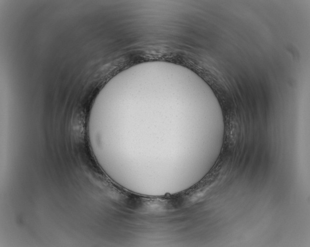 X0000110950226200907101314