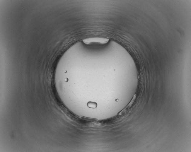 X0000110950227200907101314