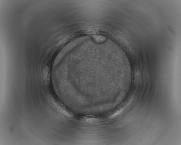 X0000110950228200907101313