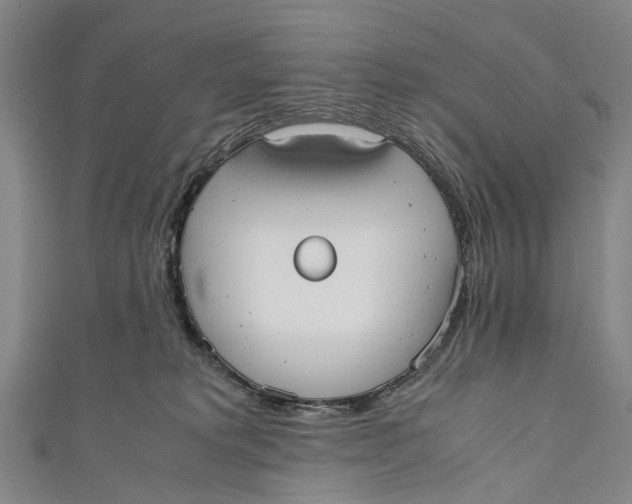 X0000110950229200907101313