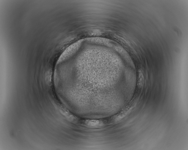 X0000110950230200907101313