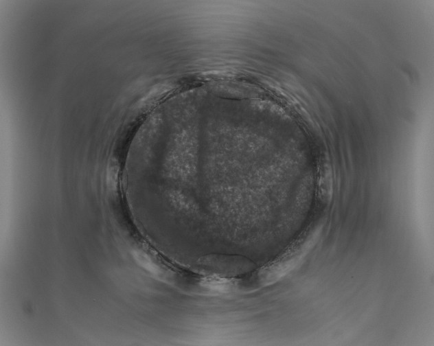 X0000110950231200907101313