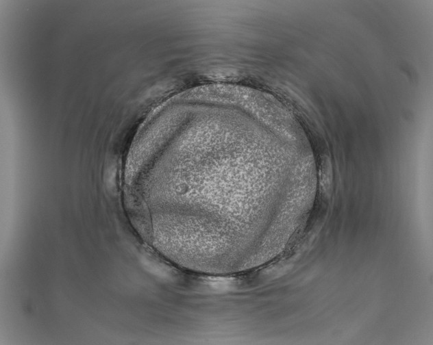 X0000110950233200907101313