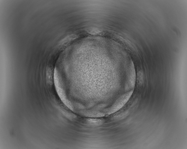 X0000110950234200907101313