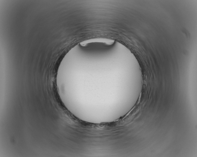 X0000110950235200907101313