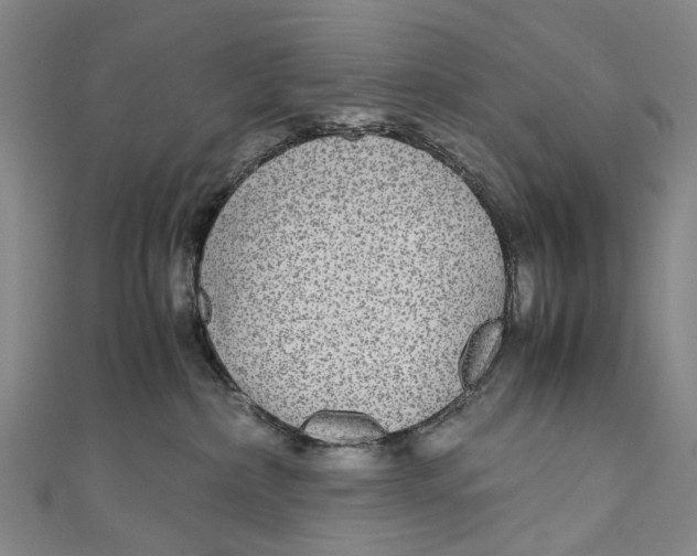 X0000110950236200907101313