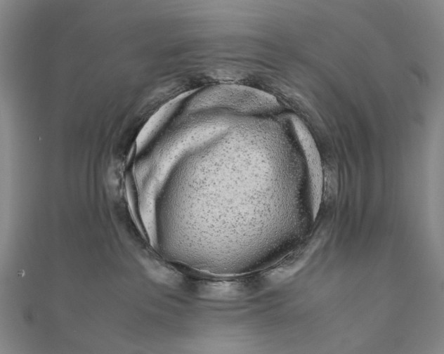 X0000110950237200907101313